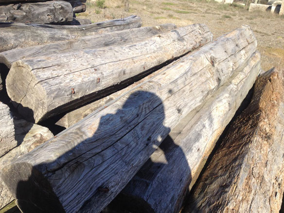 Vigas Viguetas antiguas y postes de madera S.XVI